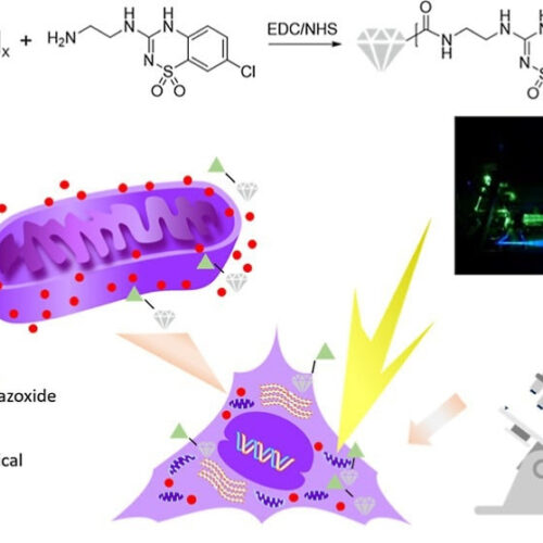 Multifunctional Fluorescent Nanodiamonds for HeLa Cell Drug Delivery