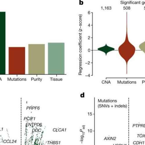 Looking at the role epigenetics plays in the ways cancer behaves