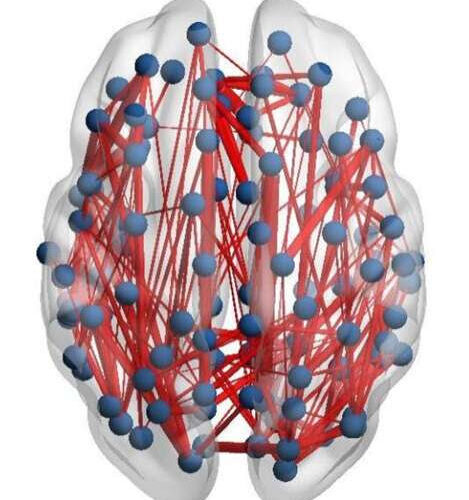 Structure of adult brain, previously thought to be fixed, is changed by treatment