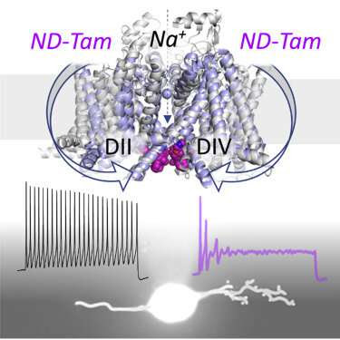 Targeting ion channels to manage osteoarthritis pain