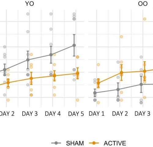 Therapeutic games and brain stimulation mitigates cognitive decline in older adults