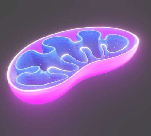 New mitochondrial disease identified in identical twins