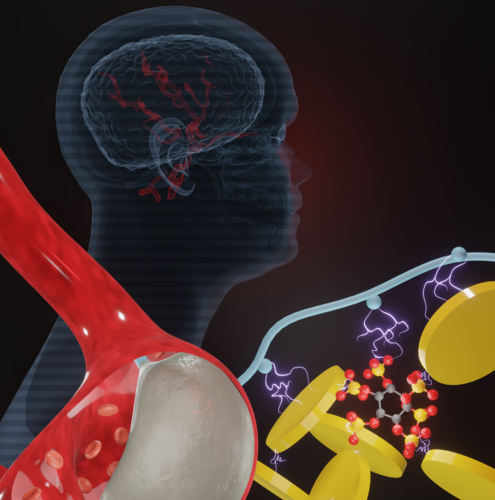 Injectable biomaterial with enhanced mechanical and coagulative capabilities for treating aneurysms