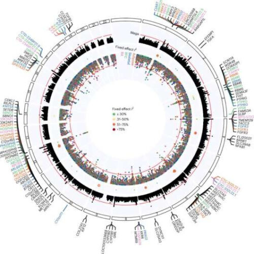 Ten new genetic loci linked to osteoarthritis found