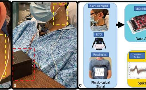 Researchers create novel device to measure nerve activity for treatment of sepsis and PTSD