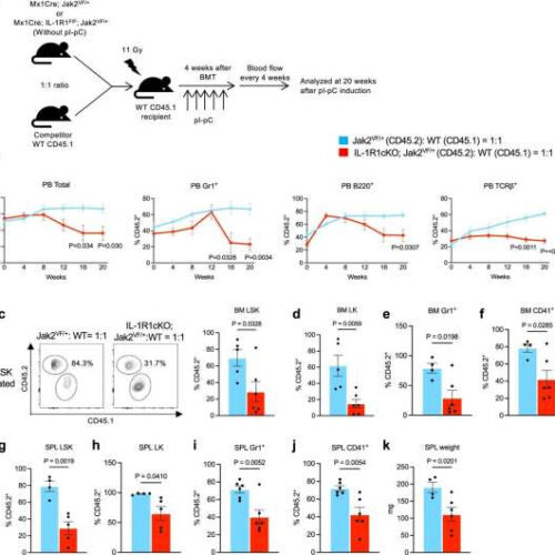 How pathogens hijack the immune system to cause vaccine-enhanced disease