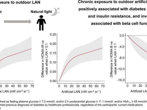 New study reveals that exposure to outdoor artificial light at night is associated with an increased risk of diabetes