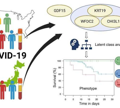 Investigating plasma to predict COVID-19 progression