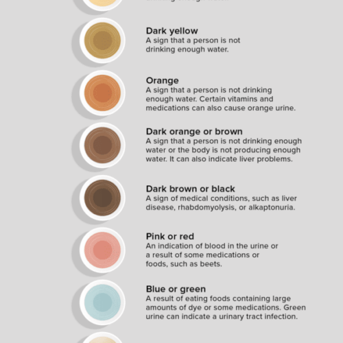 What does the color of your urine mean?