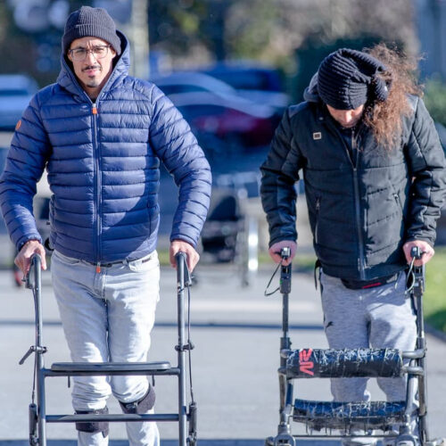 Scientists identify neurons that help paralyzed patients walk again