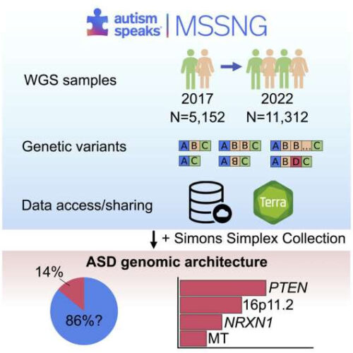 World’s largest autism whole genome sequencing study reveals 134 autism-linked genes