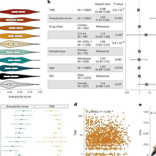 Simultaneous radiation and immunotherapy found to be beneficial for a subset of lung cancer patients