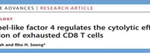 New technology for inhibiting T cell exhaustion and reinvigorating exhausted T cells
