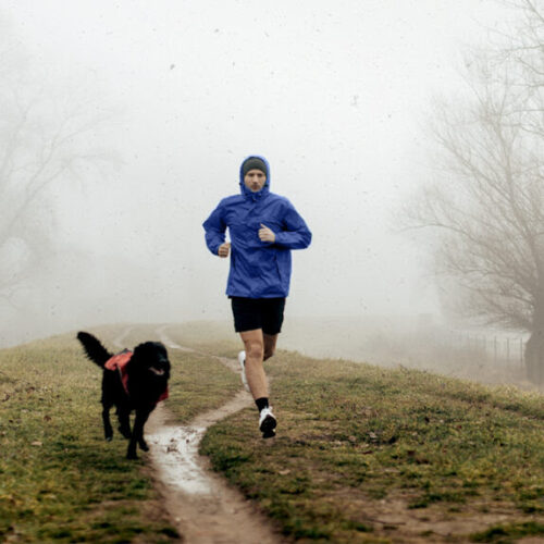 Exercising between 8–11 am may be best for cardiovascular health