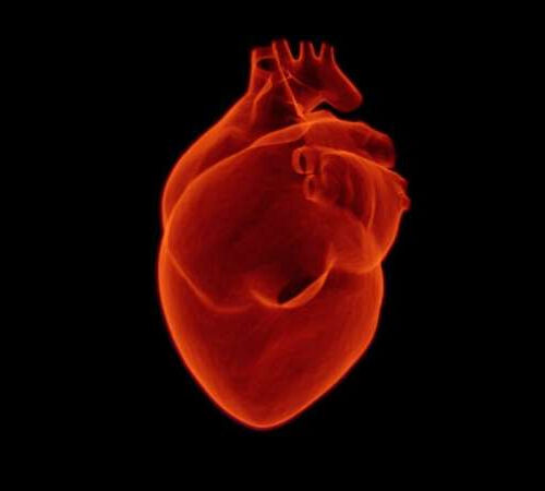 New troponin test improves heart attack diagnostics