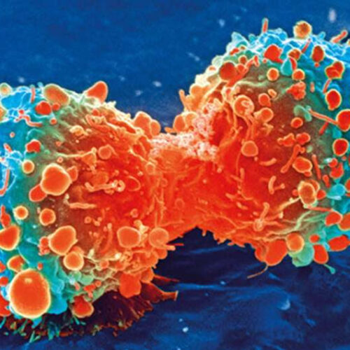 Discovery boosts the potential of new cancer-fighting drugs