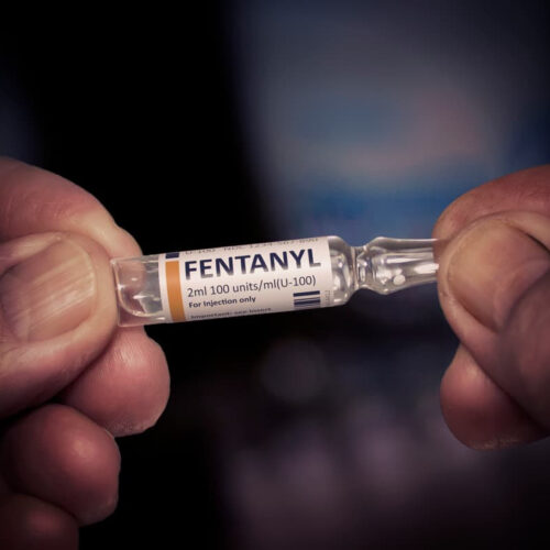 Experimental fentanyl vaccine stops the drug from entering the brain