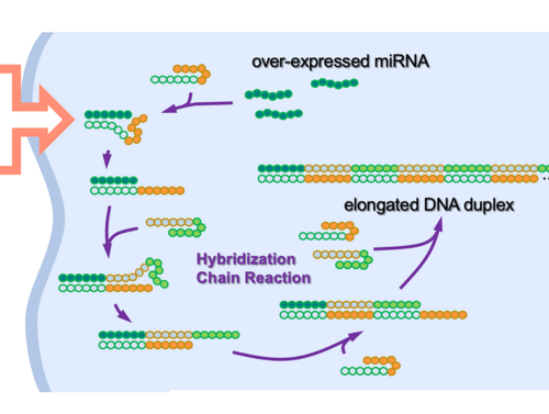 Artificial DNA kills cancer