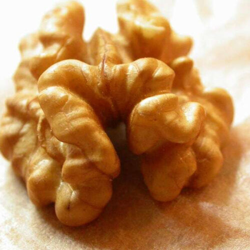 Walnuts the new brain food for stressed university students