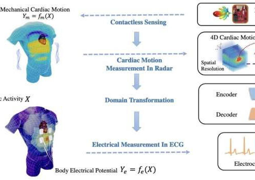 Researchers achieve contactless electrocardiogram monitoring