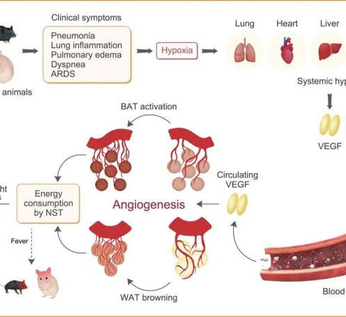 New findings on how to avert excessive weight loss from COVID-19