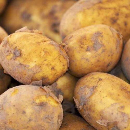 It’s not them, it’s you: Why potatoes don’t deserve their bad reputation