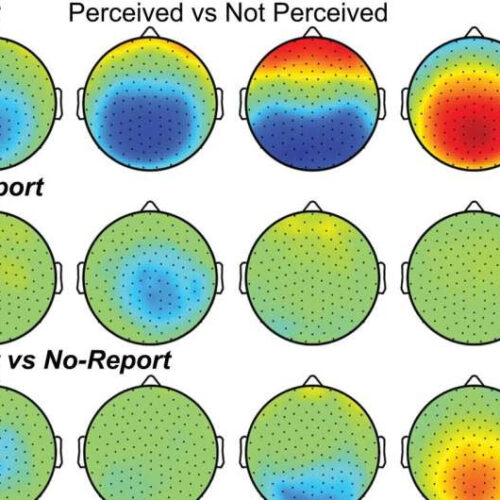 Eyes offer a window into the mystery of human consciousness