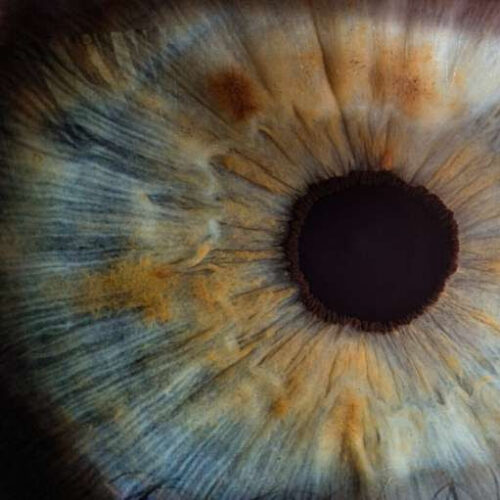 Not-so private eyes: Eye movements hold clues to how we make decisions