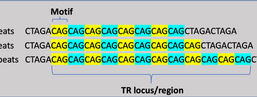 Scientists link rare genetic phenomenon to neuron function, schizophrenia