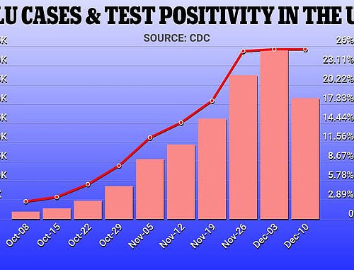 America’s tripledemic has peaked already: Flu cases fall 30% in a week and RSV infections are dropping ‘pretty quickly’