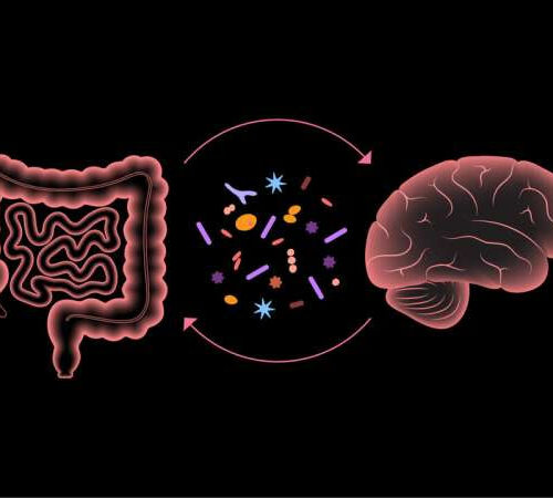 Study finds microbiota transfer therapy provides long term improvement in gut health in children with autism