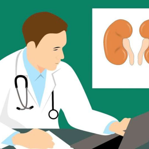 Cell therapy may slow kidney damage from type 2 diabetes