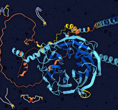 New analysis of cellular ‘vehicles’ drives a deeper understanding of ALS, Alzheimer’s