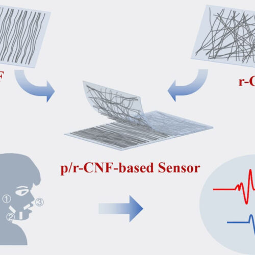 Facial strain sensor could give a voice to the voiceless