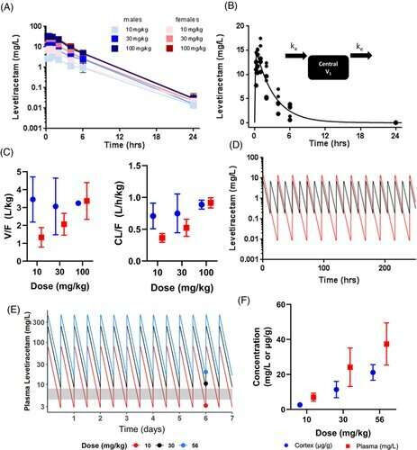 Researchers study relationship between epilepsy drug and Alzheimer’s disease