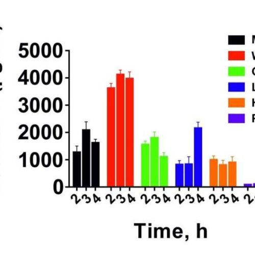 A promising discovery in the fight against incurable cancers