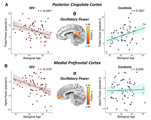 Epigenetic aging is associated with aberrant neural oscillatory dynamics serving visuospatial processing in people with HIV