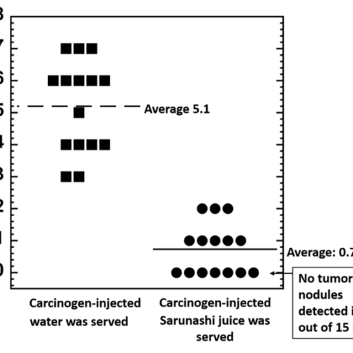 Actinidia arguta (sarunashi) juice inhibits lung cancer in mice