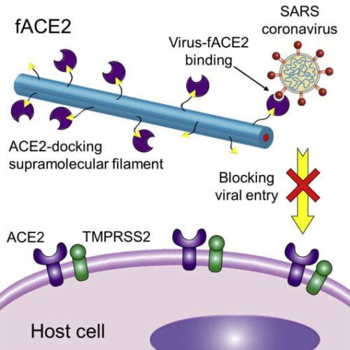 Simple spray could keep COVID away