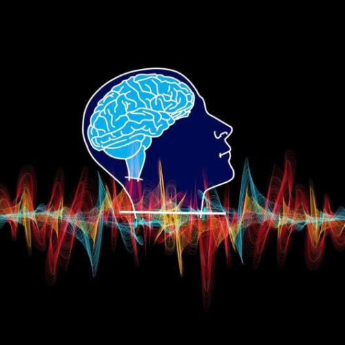 High frequency brain wave patterns in the motor cortex can predict an upcoming movement