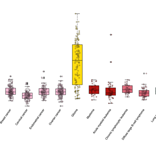 New database maps proteins that could predict cancer