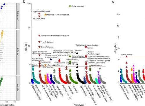 Exploring genetic regulation of immunoglobulin A