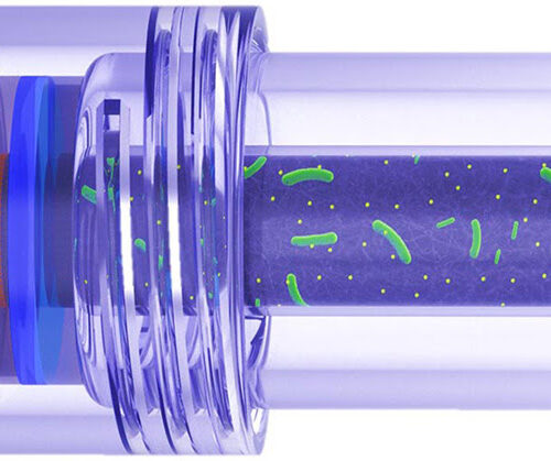 Microbial Fuel Cell Powers Ingestible Devices