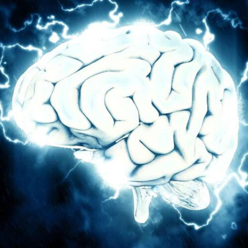 Brain area necessary for fluid intelligence identified
