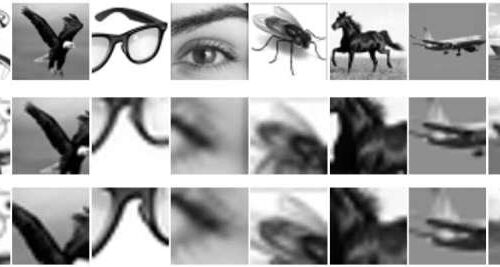 Eye tracking during visual challenges reveals neural encoding
