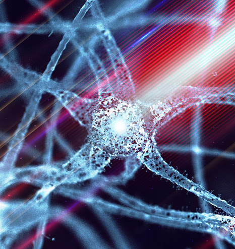 Optogenetics Tech for Long-Term Changes in Neuronal Excitability