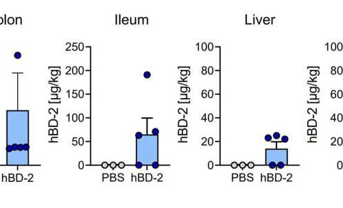 Endogenous molecule protects from life-threatening complications after stem-cell transplantation