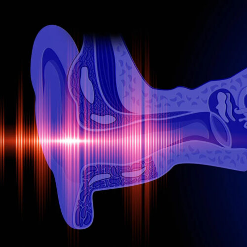 Johns Hopkins Discovers New Path to Treating Age-Related Hearing Loss – “There’s More to Hearing Than the Ear”