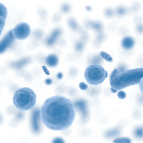 Bacteria play specific roles in cancer