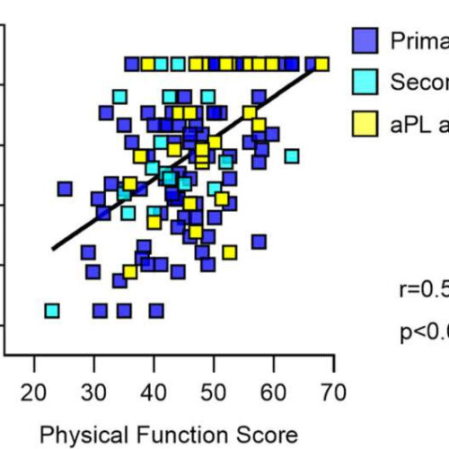 Lab results alone don’t give full picture of antiphospholipid syndrome